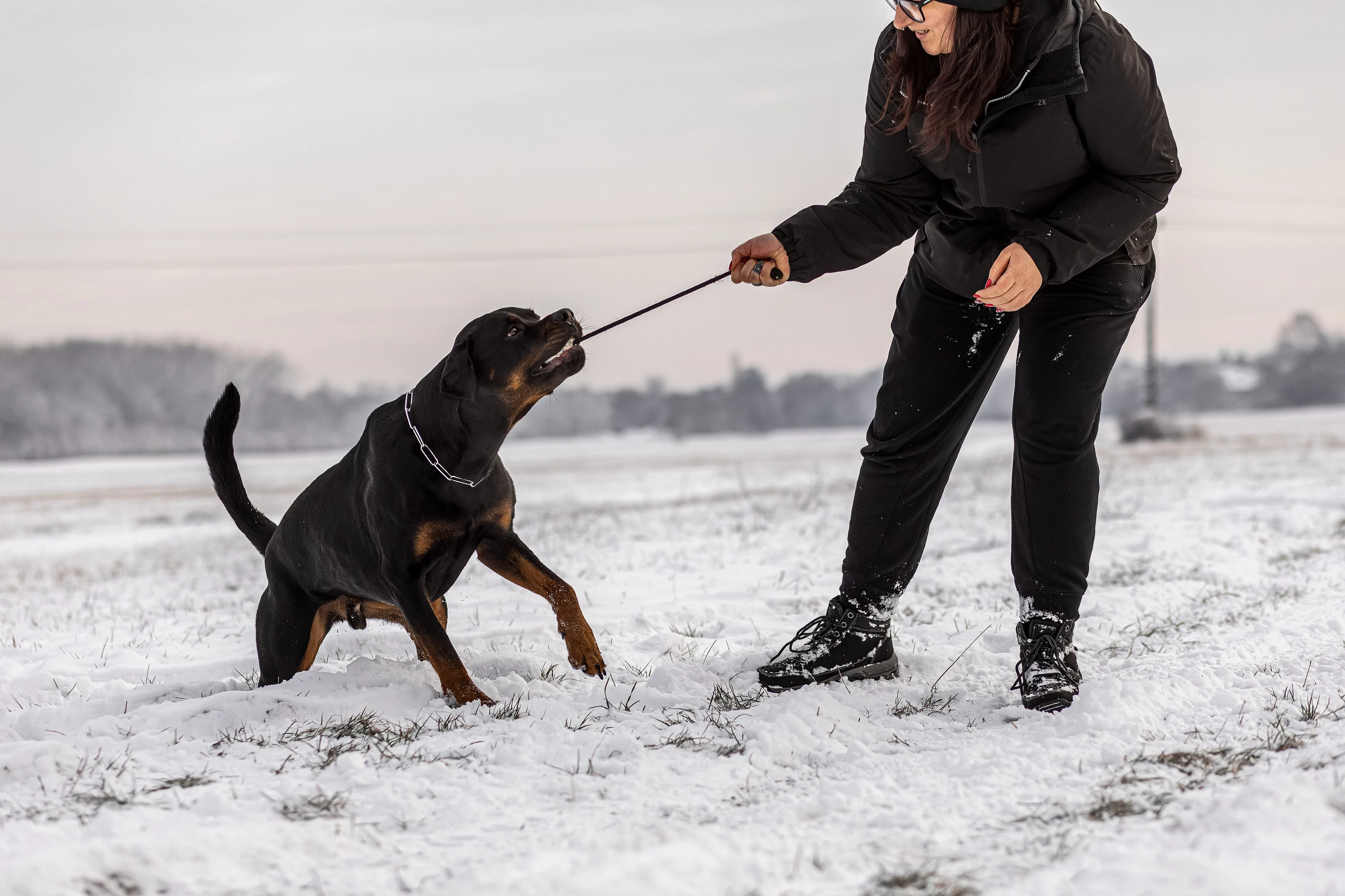 Vivi játszik a rottweilerével a havas réten